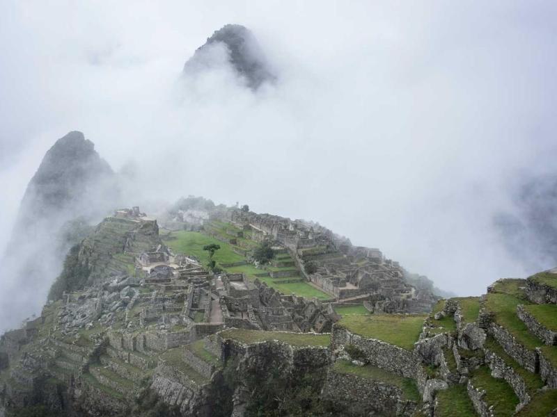 Ut himenaeos cursus quam nullam arcu sed massa